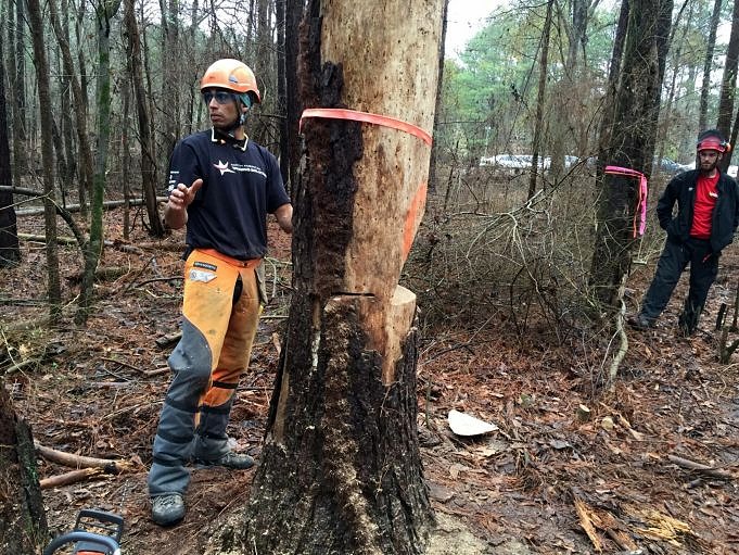 What You Need To Know About Using Chainsaws For Your Jobs